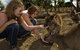Kangaroo Island Wildlife Park - thumb 0