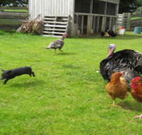 Echo Farm - Accommodation QLD