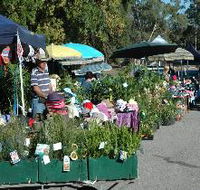 Meadows Monthly Market - Accommodation QLD