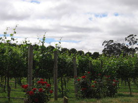  Accommodation QLD