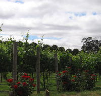 Manyara Vineyard - Accommodation QLD