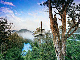  Accommodation QLD