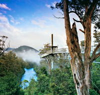 Tahune Adventures Tasmania - Accommodation QLD