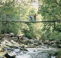 Arve Forest Drive - Accommodation QLD
