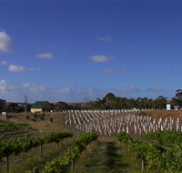 Deep Creek Wines and Alpacas - Accommodation QLD