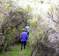 Jack And Hilda McArthur Walk - Accommodation QLD