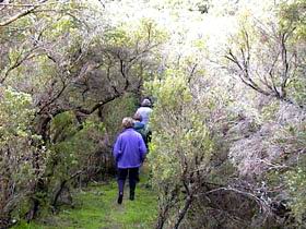 Jack And Hilda McArthur Walk - Accommodation QLD 0