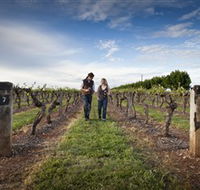 Coonawarra Wineries Walking Trail - Accommodation QLD