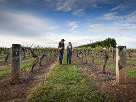 Coonawarra Wineries Walking Trail - Accommodation QLD 0