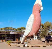 The Big Galah - Accommodation QLD