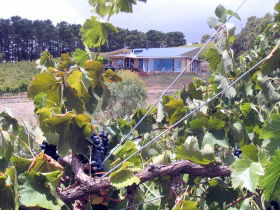 Zimmermann Wine - Accommodation QLD 0