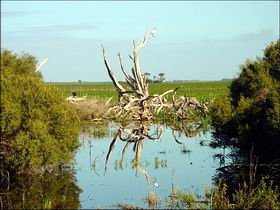  Accommodation QLD