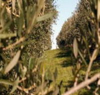 Evilo Estate - Accommodation QLD