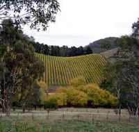 Mt Bera Vineyards - Accommodation QLD