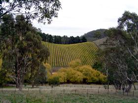 Mt Bera Vineyards - Accommodation QLD 0