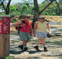 Riesling Trail - Accommodation QLD