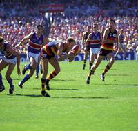 AAMI Stadium Tours - Accommodation QLD