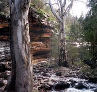 Mount Remarkable National Park - Accommodation QLD