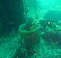Wallaroo Scuba Club - Accommodation QLD