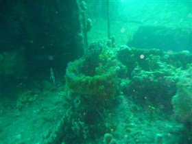 Wallaroo Scuba Club - Accommodation QLD 0