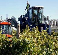 Ballast Stone Estate Wines Pty Ltd - Accommodation QLD