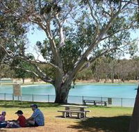 Naracoorte Nature Park and Swimming Lake - Accommodation QLD