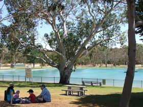 Naracoorte Nature Park And Swimming Lake - Accommodation QLD 0