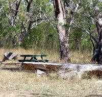 Penola Conservation Park - Accommodation QLD
