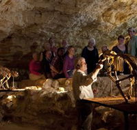 Naracoorte Caves National Park - Accommodation QLD