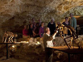 Naracoorte Caves National Park - Accommodation QLD 0