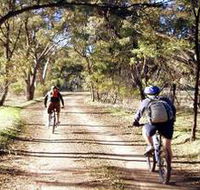 Bike About Mountain Bike Tours And Hire - Accommodation QLD