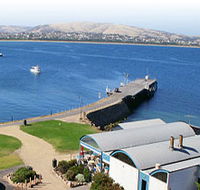 Granite Island Nature Park - Guided Penguin Tours - Accommodation QLD