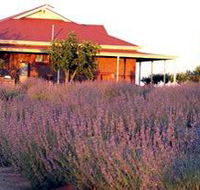 Bella Lavender Estate - Accommodation QLD
