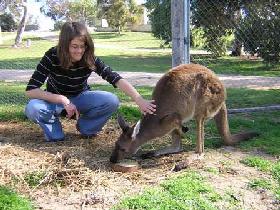 Brimbago SA Accommodation QLD