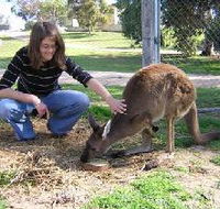 Pendleton Farmstay - Accommodation QLD