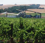 Kirrihill Wines - Accommodation QLD