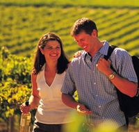 Lady Bay Vineyard - Accommodation QLD