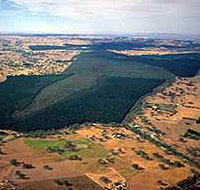 Mount Crawford Forest Reserve