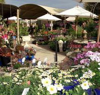 Serenity Nursery - Accommodation QLD