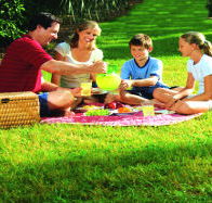 Bruny Island Berry Farm - Accommodation QLD