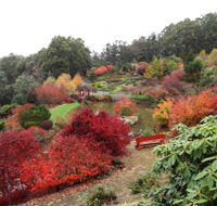 Emu Valley Rhododendron Garden - Accommodation QLD