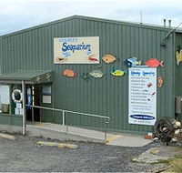 Stanley Seaquarium - Accommodation QLD