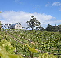 Bruny Island Premium Wines Bar and Grill - Accommodation QLD