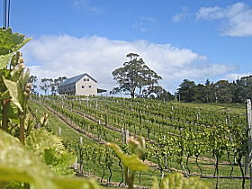 Bruny Island Premium Wines Bar And Grill - Accommodation QLD 0