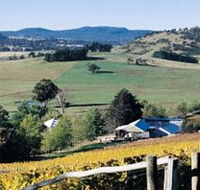 Freycinet Vineyards Pty Ltd - Accommodation QLD