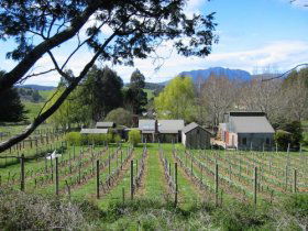 Wilmot TAS Accommodation QLD