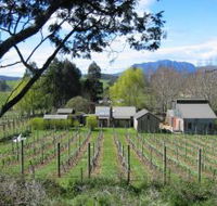 Wilmot Hills Vineyard - Accommodation QLD