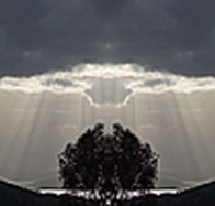 aart. Gallery of Fine Art - Accommodation QLD