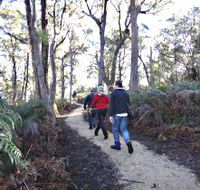 Bridport Walking Track - Accommodation QLD