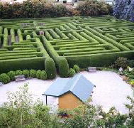 Westbury Maze and Tea Room - Accommodation QLD